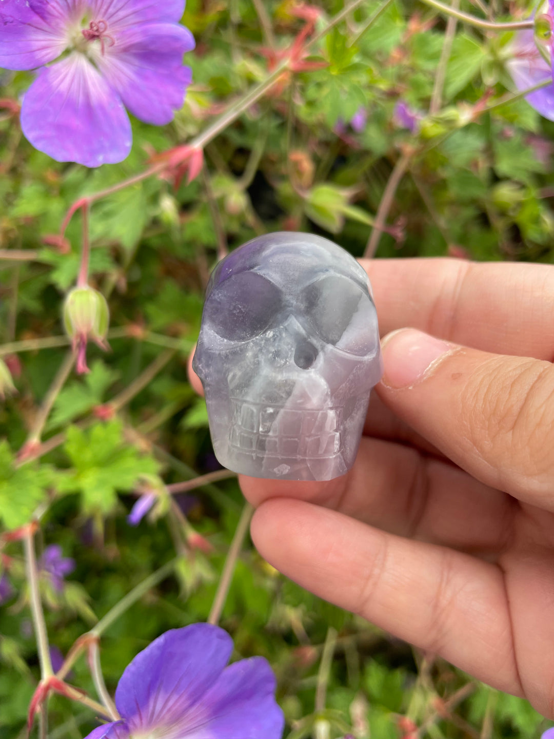 Fluorite Skull