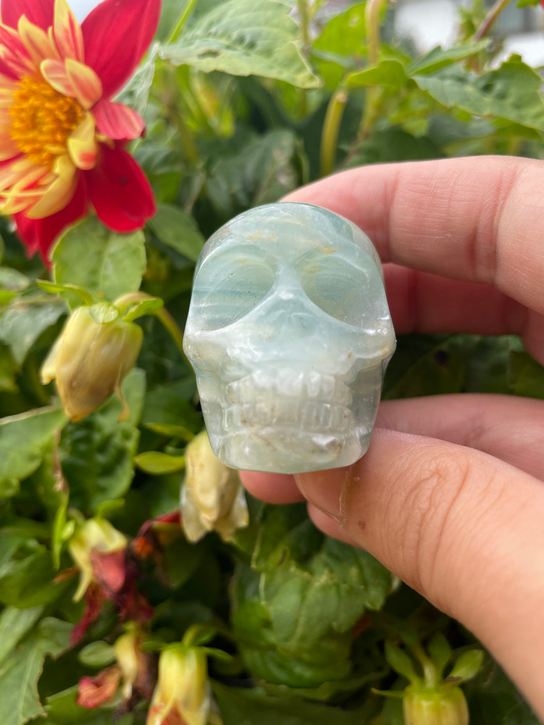Blue Onyx Skull