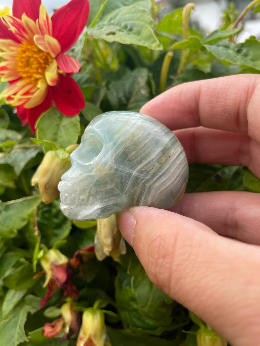 Blue Onyx Skull