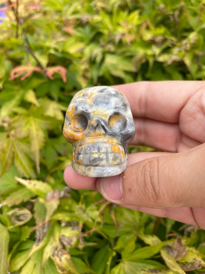 Crazy Lace Agate Skull