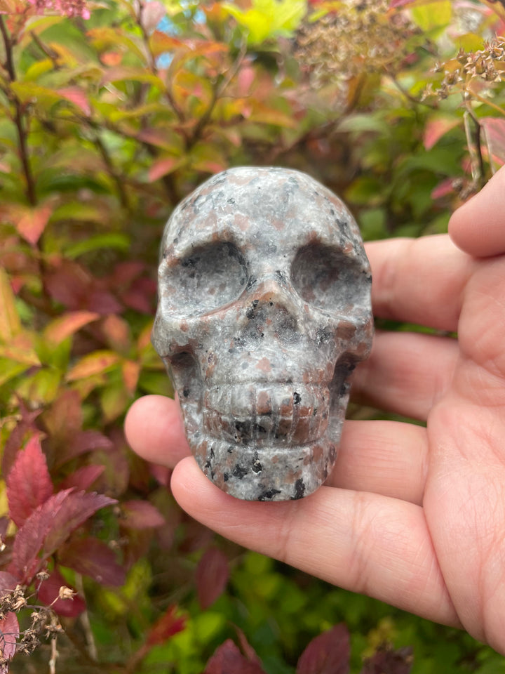 Yooperlite Skull