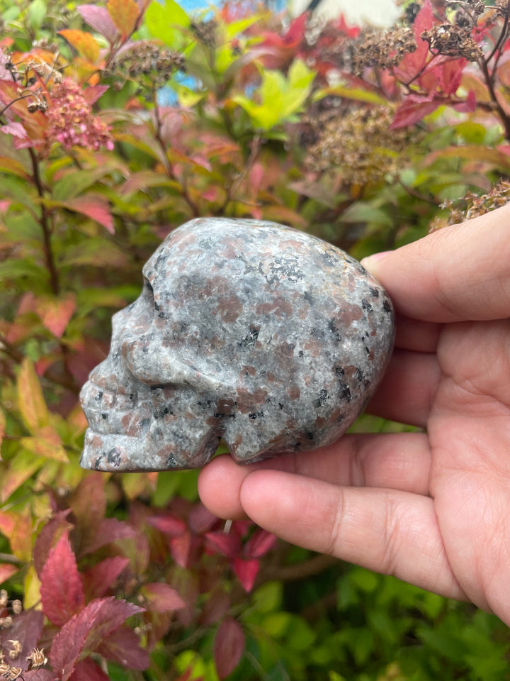 Yooperlite Skull