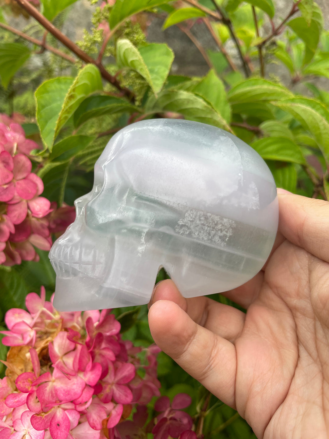 Lavender Fluorite Skull