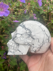 Howlite Skull