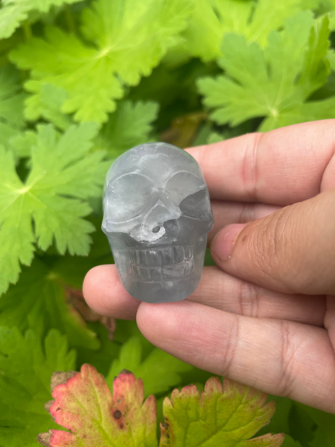 Lavender Fluorite Skull