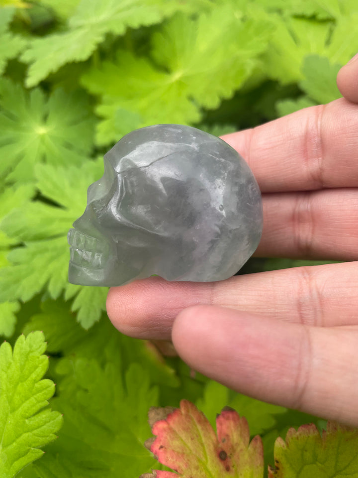Lavender Fluorite Skull