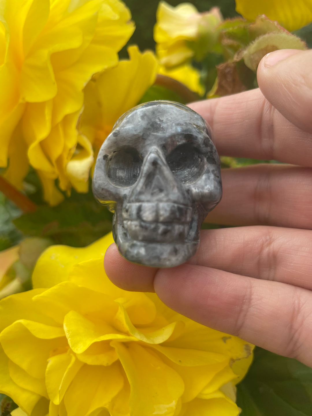 Labradorite Skull