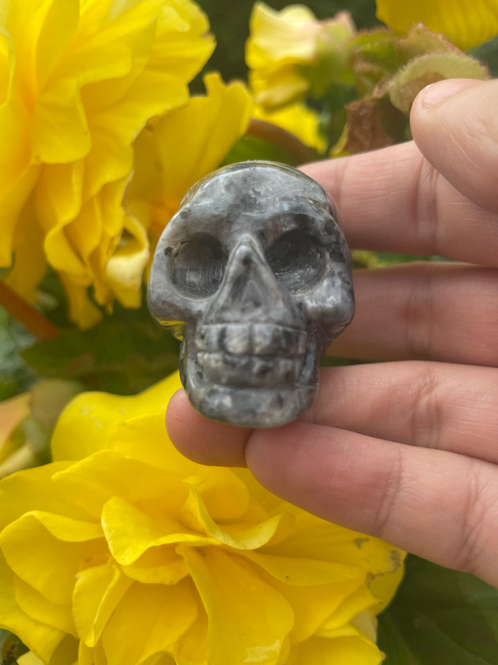 Labradorite Skull