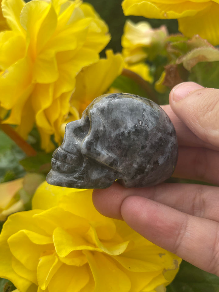 Labradorite Skull