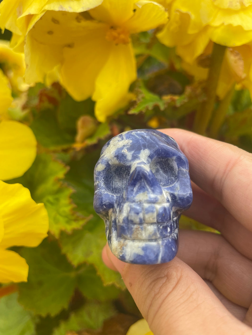 Sodalite Skull