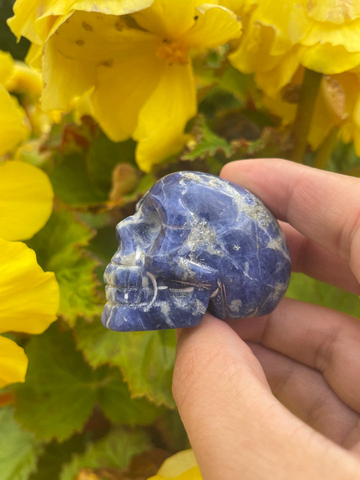 Sodalite Skull