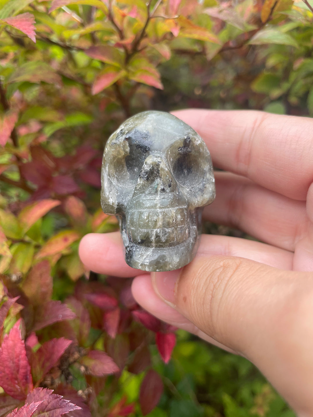 labradorite Skull