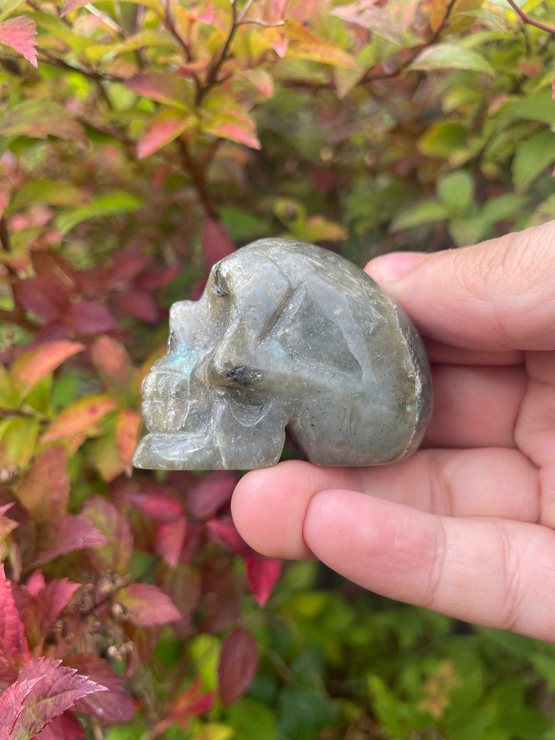 labradorite Skull