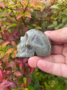 labradorite Skull