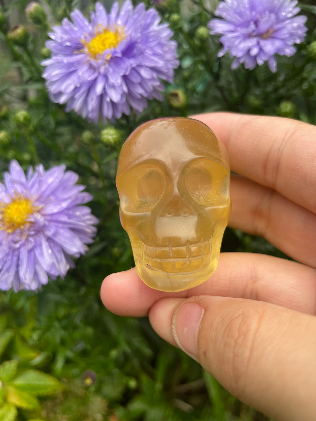 Yellow Fluorite Skull