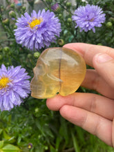 Load image into Gallery viewer, Yellow Fluorite Skull
