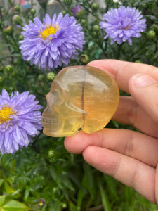 Yellow Fluorite Skull