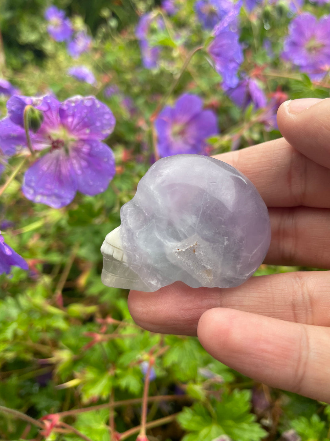 Lavender Fluorite Skull