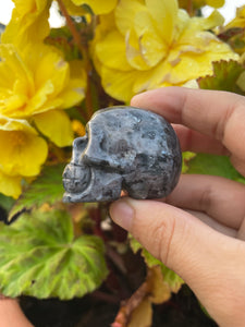 Lavikite Skull