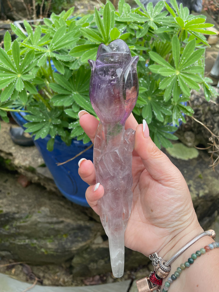 Amethyst Ametrine Root Rose Carving