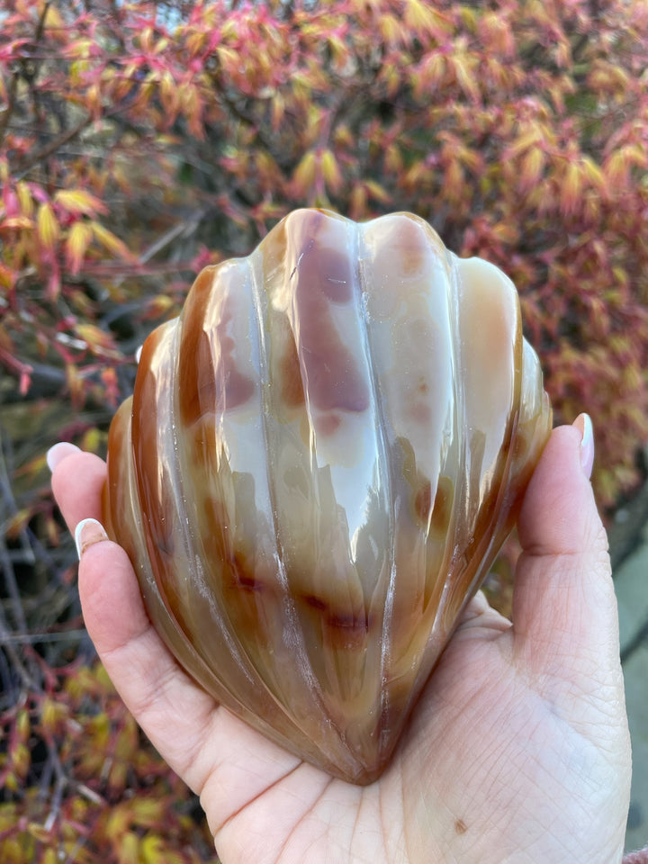 Large Druzy Agate Shell Carving