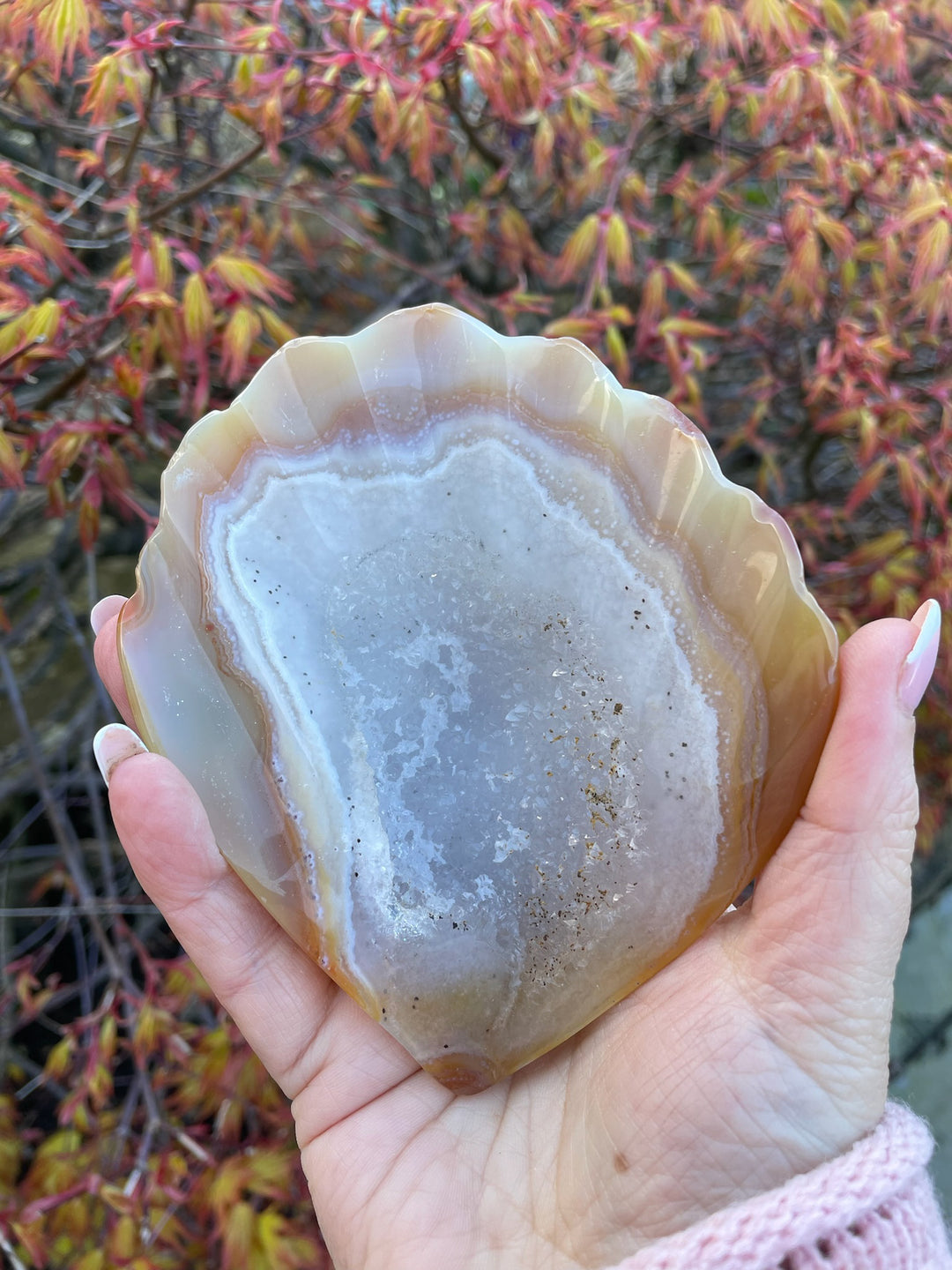 Large Druzy Agate Shell Carving