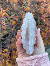 Load image into Gallery viewer, Agate and Quartz Shell with Dendrites Carving
