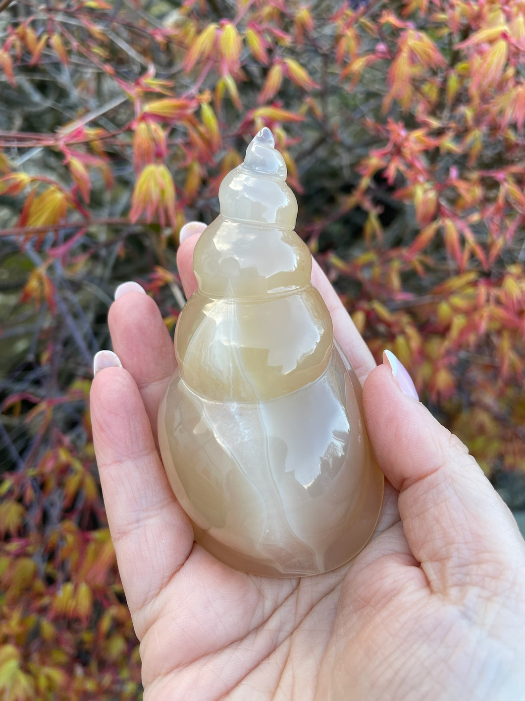 Druzy Agate Shell Carving