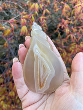 Load image into Gallery viewer, Druzy Agate Shell Carving
