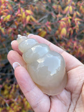 Load image into Gallery viewer, Druzy Agate Shell Carving

