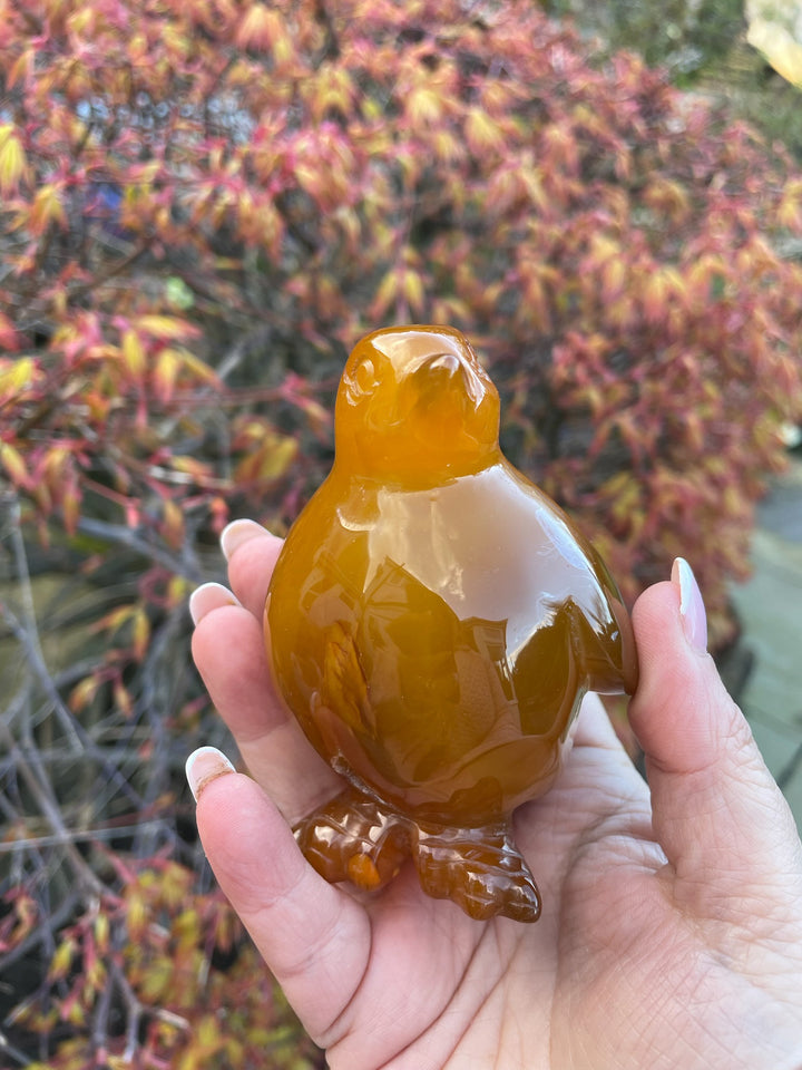 Druzy Agate Penguin Carving
