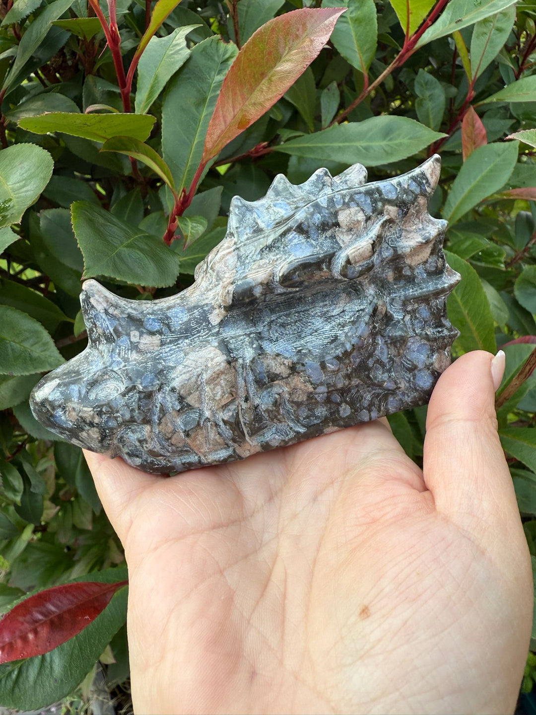 Carved Que Sera Dragon Head