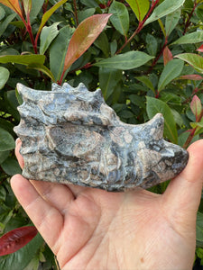 Carved Que Sera Dragon Head