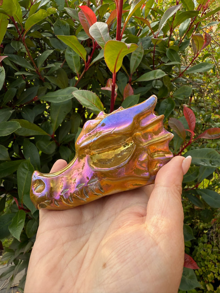 Aura Coated Dragon Head