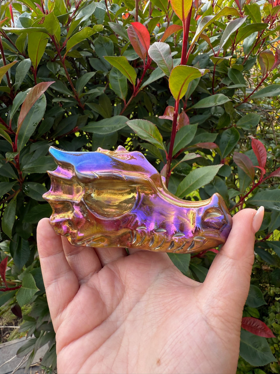 Aura Coated Dragon Head