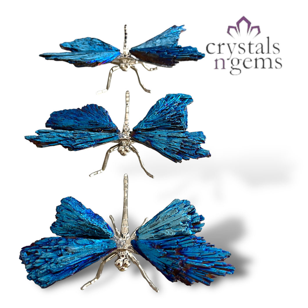 Kyanite Dragonfly