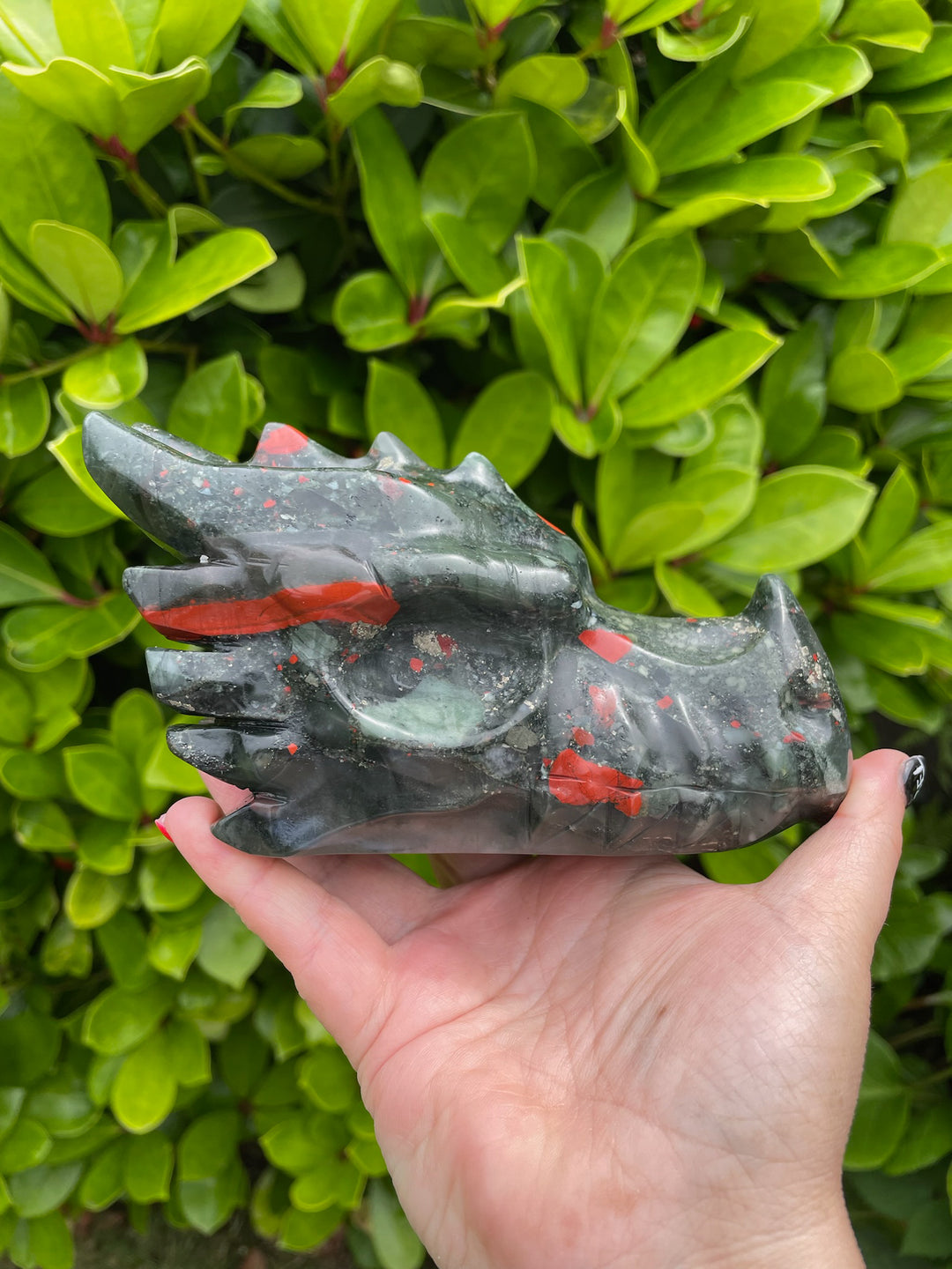Large African Bloodstone Carved Dragon Head