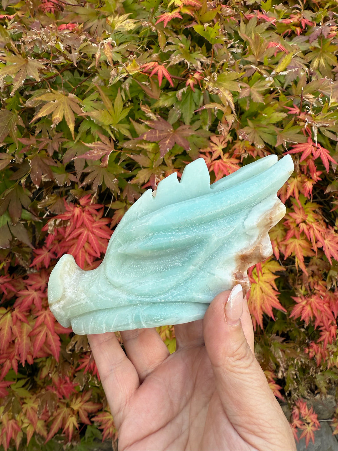 Large Caribbean Calcite Carved Dragon Head