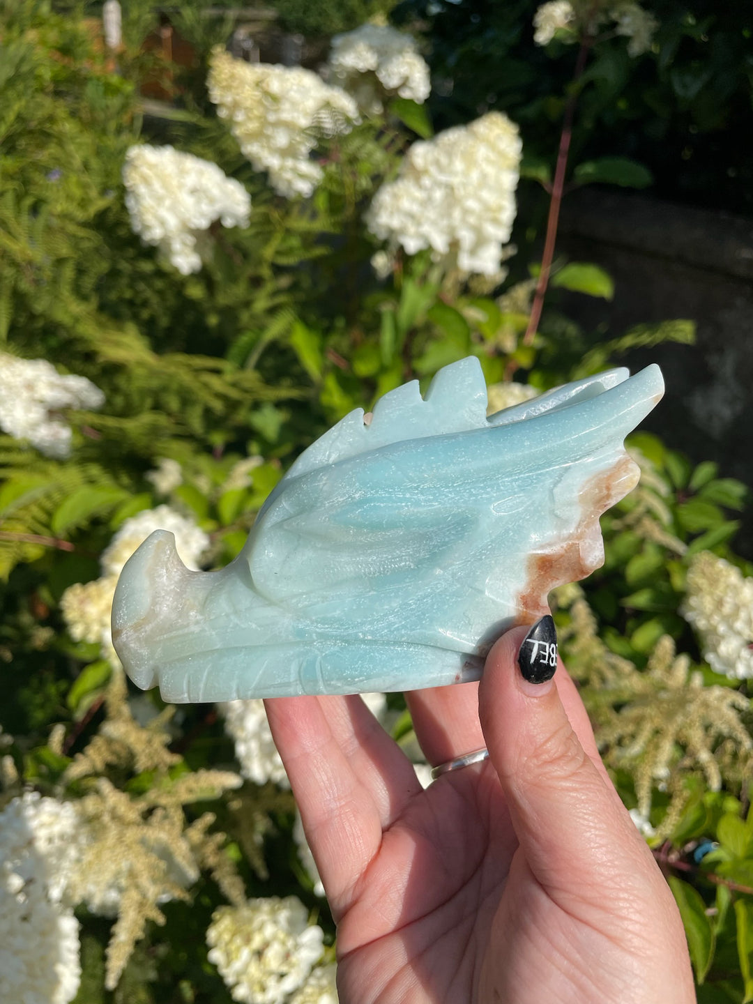 Large Caribbean Calcite Carved Dragon Head
