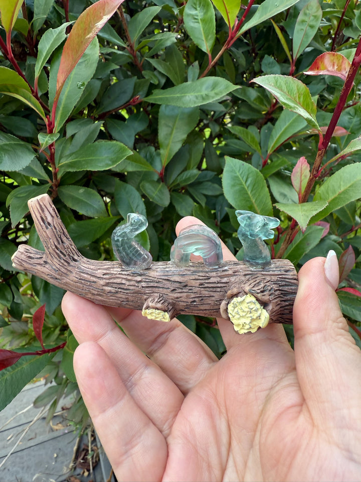 3 Piece Fluorite Chinese Dragon