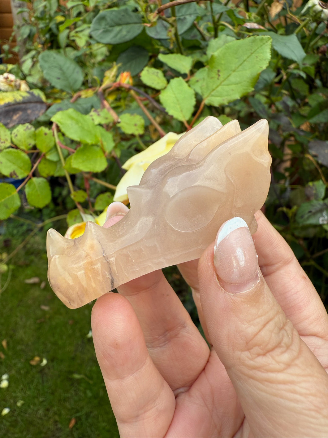 Agate Carved Dragon Head
