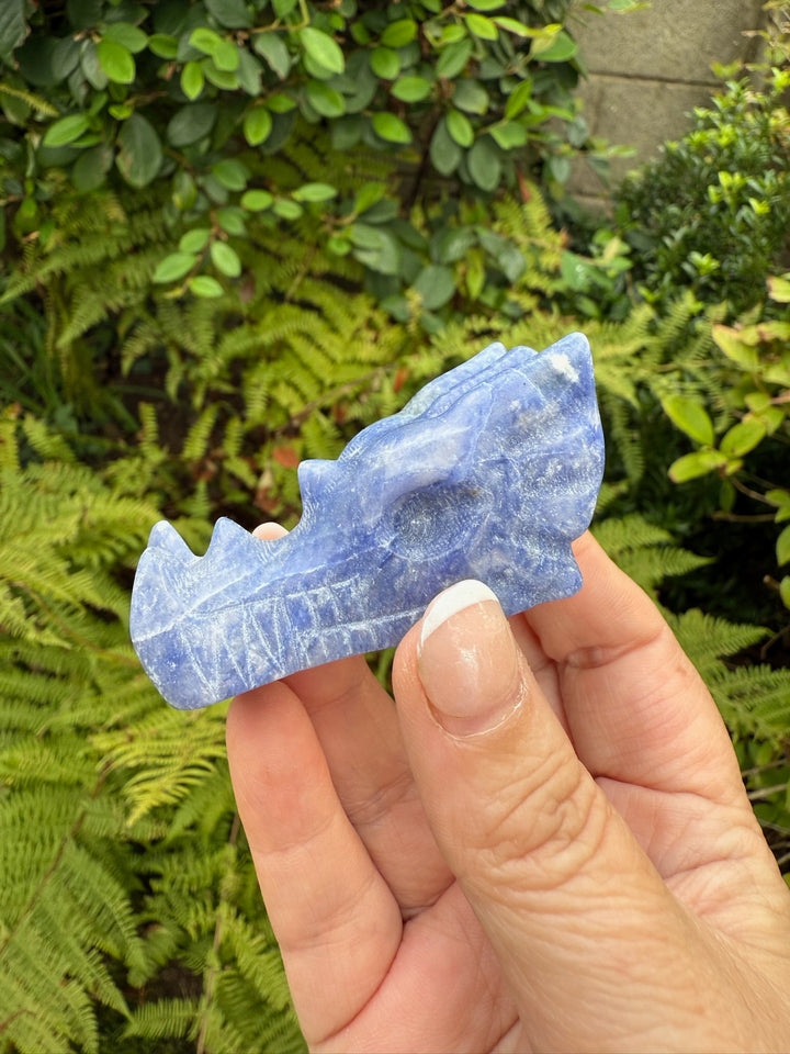 Sodalite Carved Dragon Head