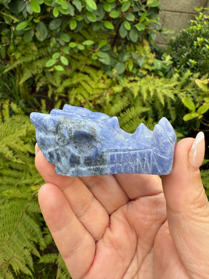 Sodalite Carved Dragon Head