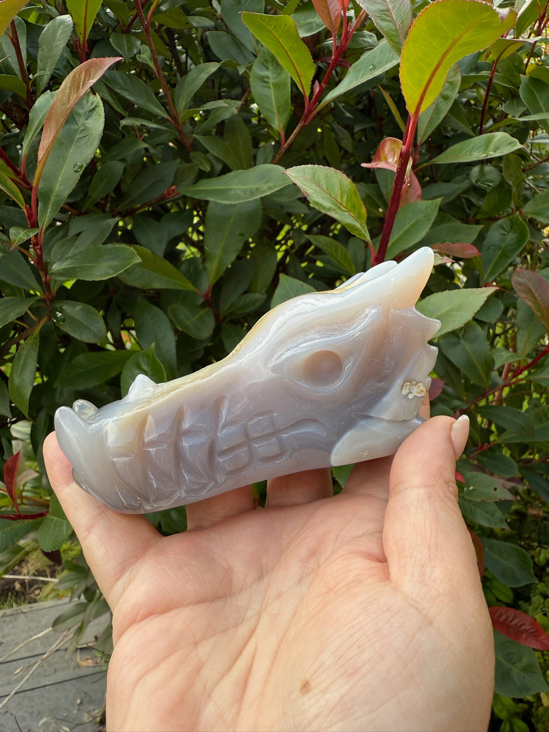 Druzy Agate Carved Dragon Head