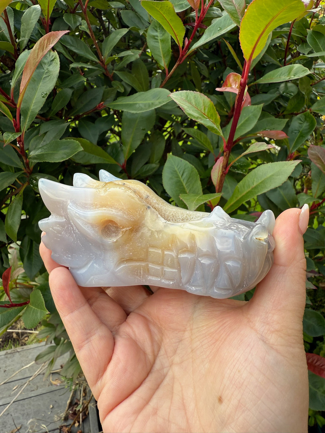 Druzy Agate Carved Dragon Head