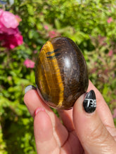 Load image into Gallery viewer, Tigers Eye Eggs
