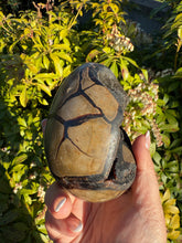 Load image into Gallery viewer, Large Black Septarian Egg Carving
