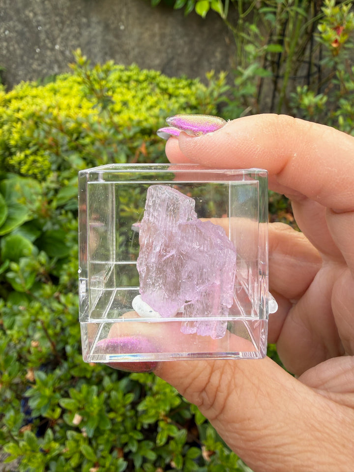 Clear Plastic Perky Mineral Display Box