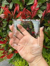 Load image into Gallery viewer, Glass Mineral Crystal Display Base
