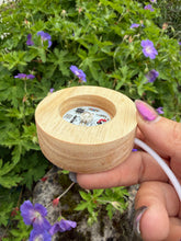Load image into Gallery viewer, Multi Colour USB Round Lightbox
